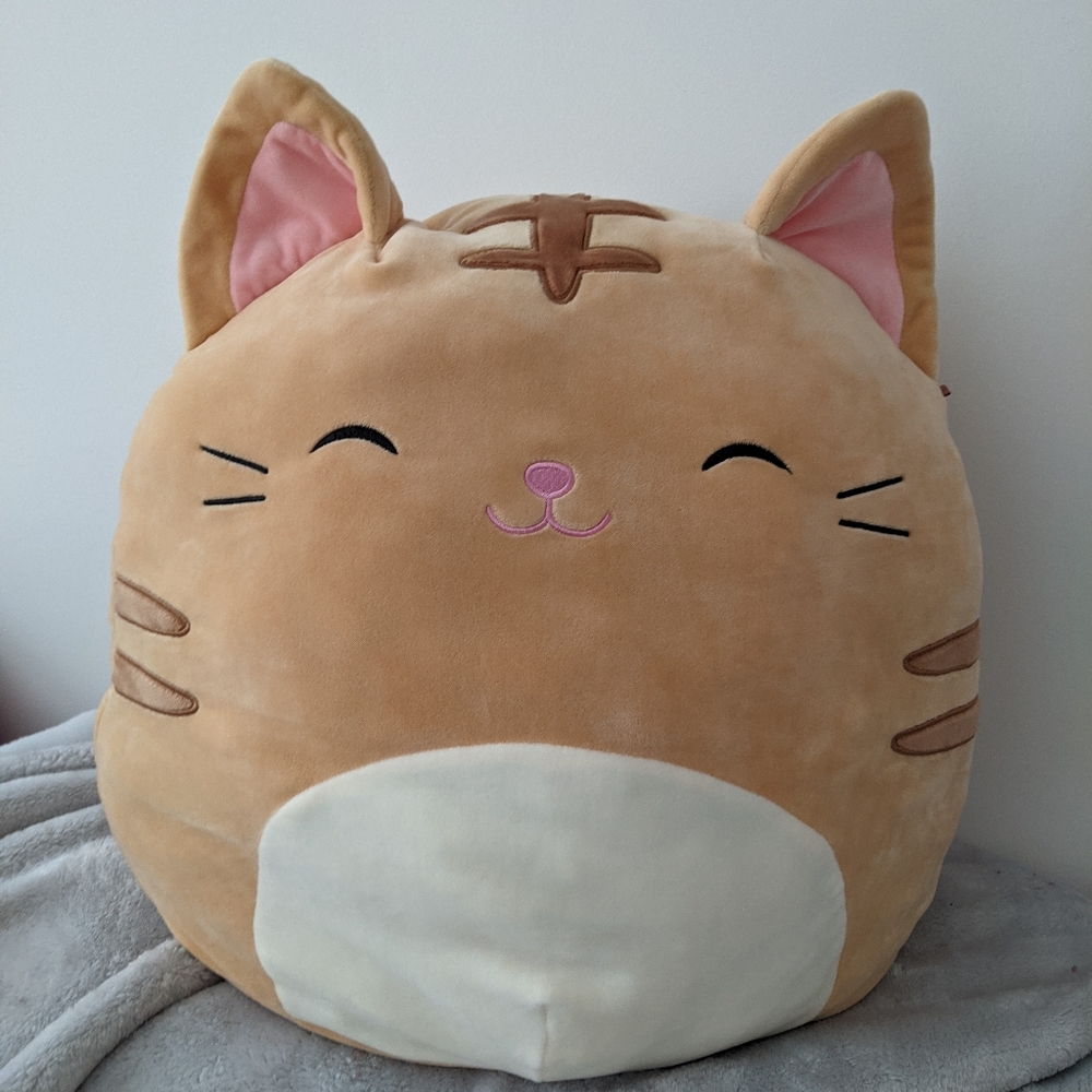 BNwt nathan cat 16" squishmallow